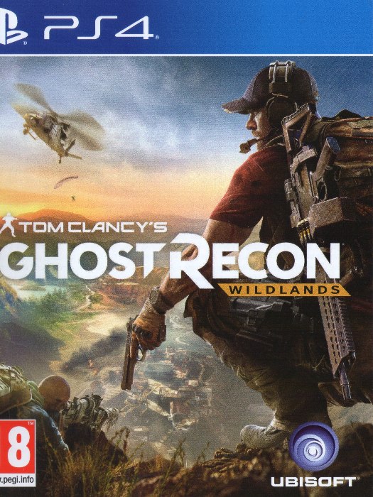 Ghost Recon PS4 boş oyun kutusu ve kapak baskısı