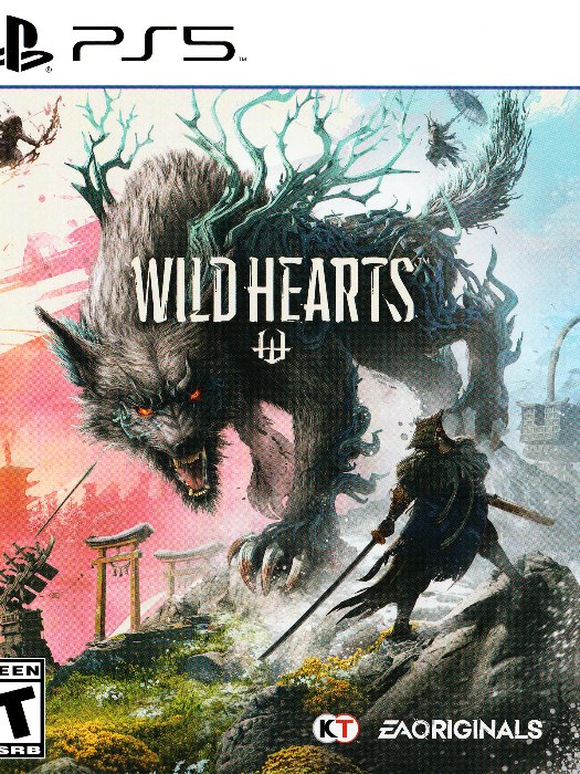 Wildhearts ps5 boş oyun kutusu ve kapak baskısı