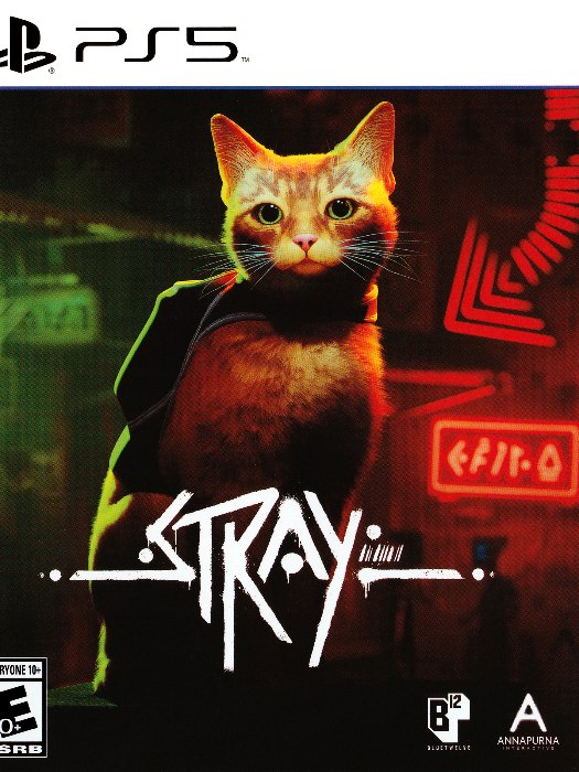 Stray ps5 boş oyun kutusu ve kapak baskısı