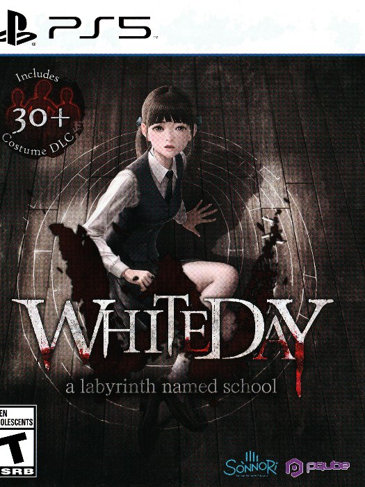 Whiteday ps5 boş oyun kutusu ve kapak baskısı