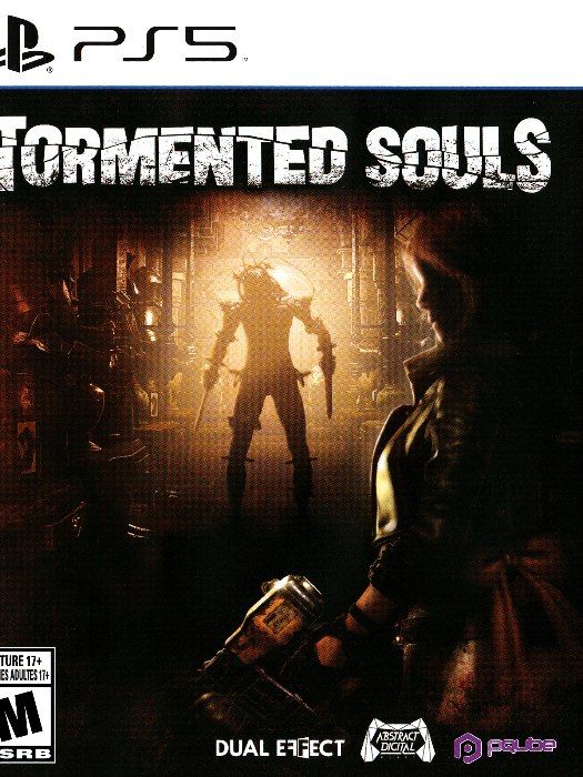 Tormented souls ps5 boş oyun kutusu ve kapak baskısı